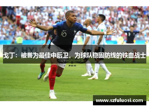 戈丁：被誉为最佳中后卫，为球队稳固防线的铁血战士