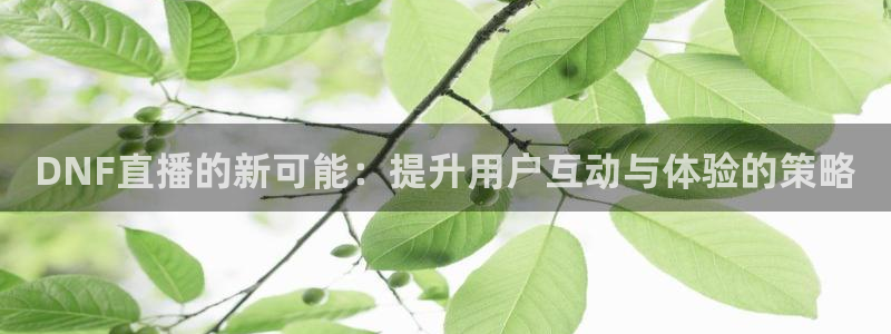 857体育直播免费播放：DNF直播的新可能：提升用户互动与体验的策略
