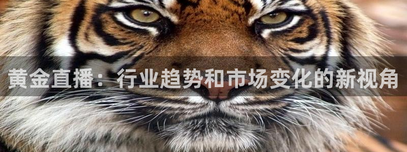 857足球直播平台：黄金直播：行业趋势和市场变化的新视角
