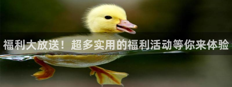857直播体育篮球：福利大放送！超多实用的福利活动等你来体验