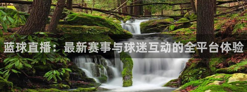 857直播足球直播吧：蓝球直播：最新赛事与球迷互动的全平台体验