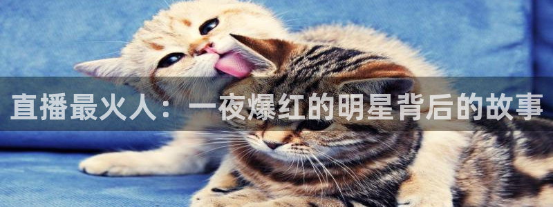 857专业体育赛事直播平台：直播最火人：一夜爆红的明星背后的故事