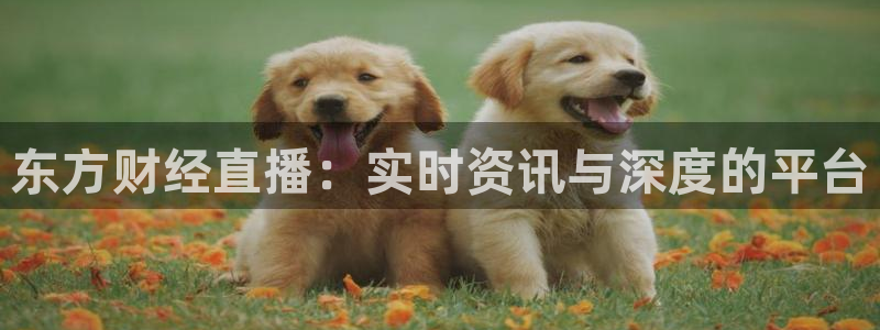 857体育在线直播观看：东方财经直播：实时资讯与深度的平台