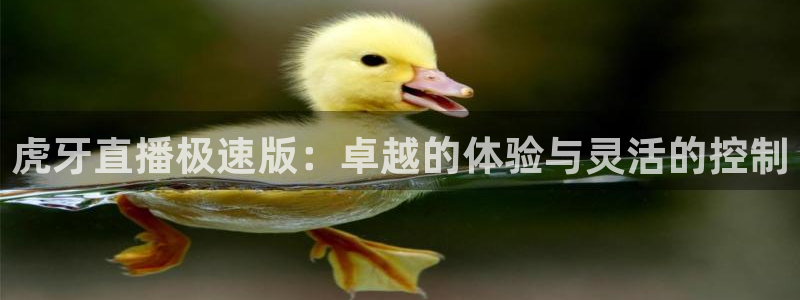 857体育直播平台：虎牙直播极速版：卓越的体验与灵活的控制