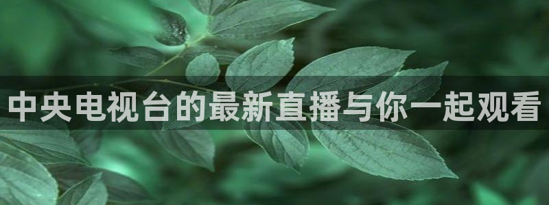 857看球直播nba直播：中央电视台的最新直播与你一起观看