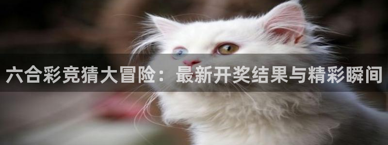 857直播nba在线观看：六合彩竞猜大冒险：最新开奖结果与精彩瞬间