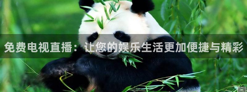 体育857直播：免费电视直播：让您的娱乐生活更加便捷与精彩